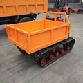 Crawler Dumper Made in China at Good Prices1