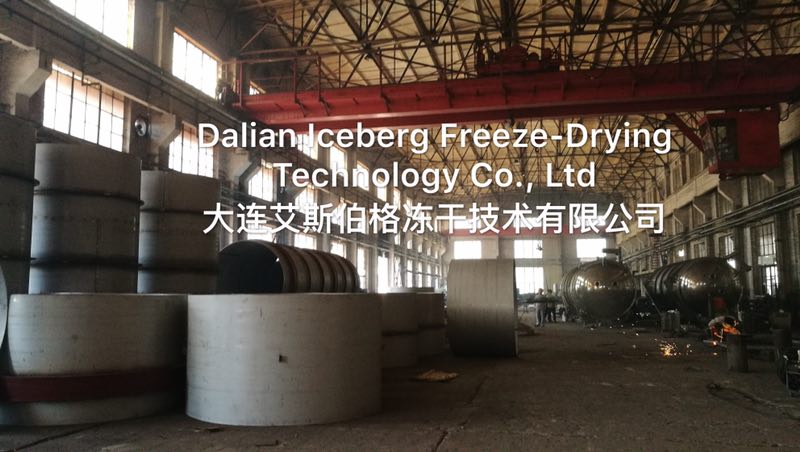 Dalian Iceberg Freeze-dry Technology Co.,Ltd