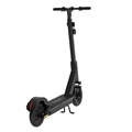 Gofunow rental 3G/4G GPS Internet of Things two wheel 10-inch removable battery 36V 500W Sharing Electric Scooter1