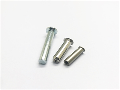 Rivet