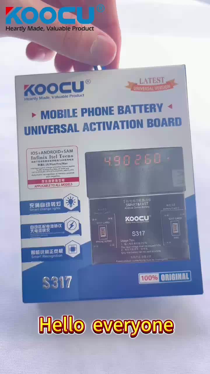 Batteria Booster S317