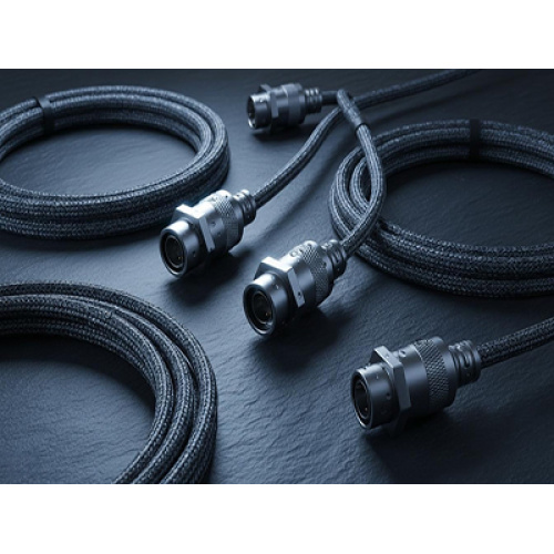 Il mercato globale dei cablaggi elettrici è in forte espansione, il cablaggio Shenzhen Fubang guida l'esportazione di interconnessioni personalizzate
