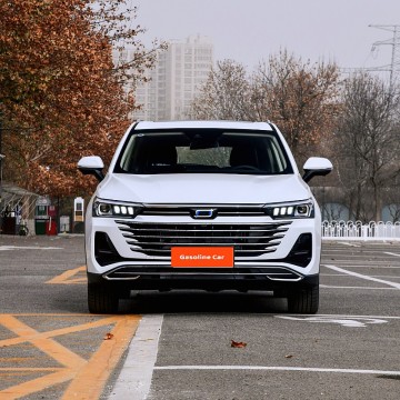 Ten Chinese SUV Car Suppliers Popular in European and American Countries