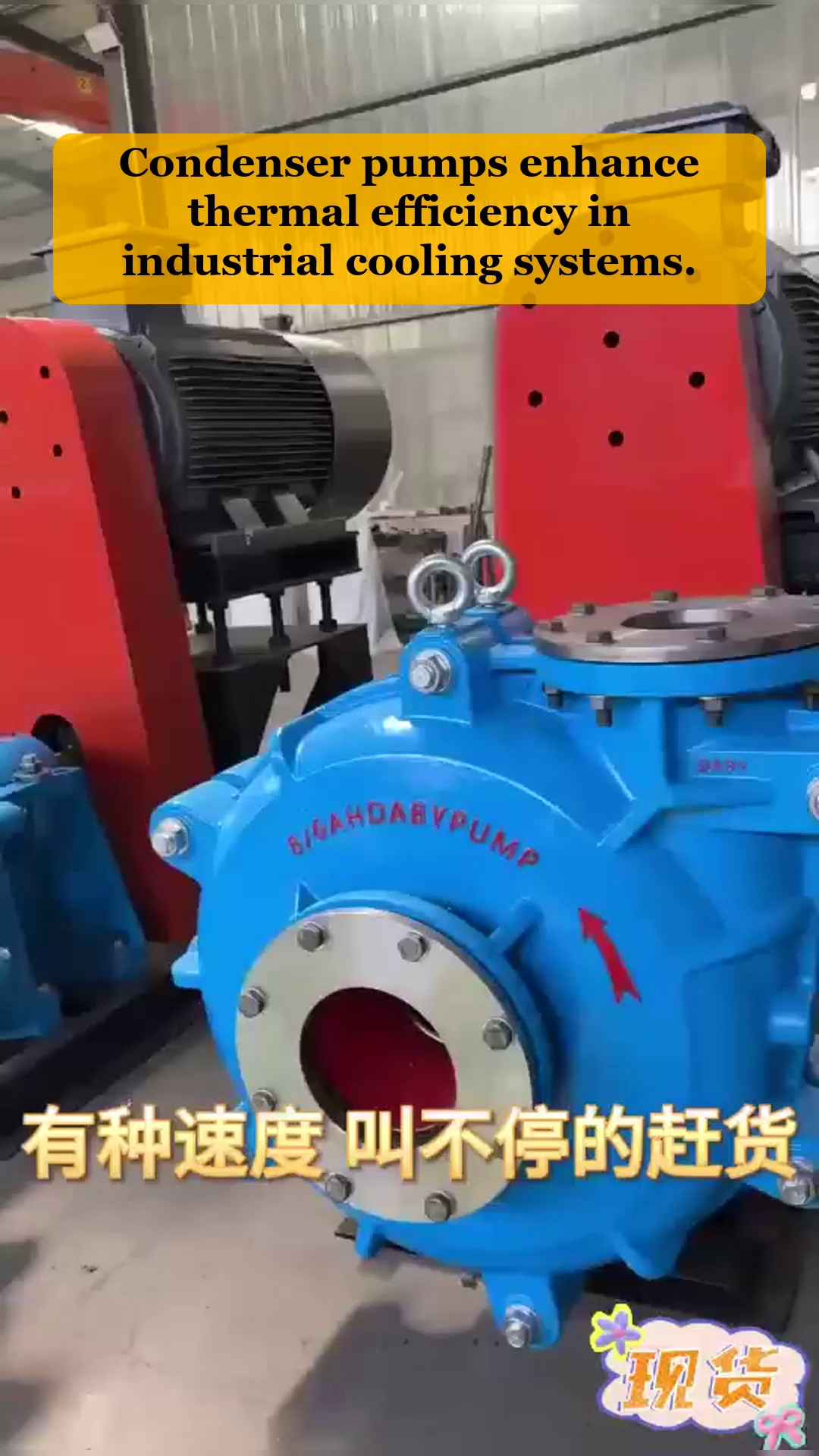 Video 23