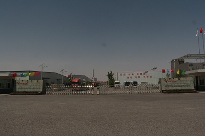 ZHONGWEI CITY YINYANG NEW ENERGY