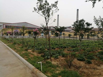 Linyi Luxing Enamel Co., Ltd.