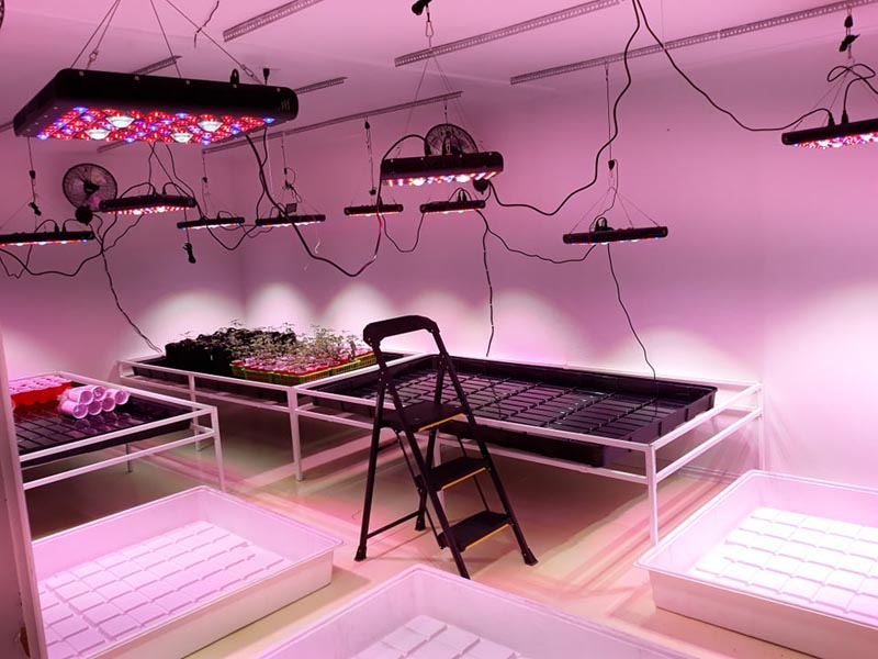 cob 2000w led grow light for seedlings