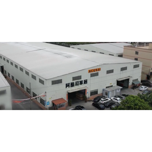 ACUSSI Company Introdução