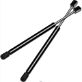 Lift Supports and Gas Springs for Ford Expedition & F-Series 1997-20061