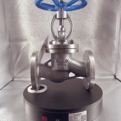 304 Globe Valve PN16