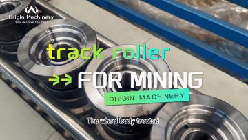 Undercarriage Parts Track Roller