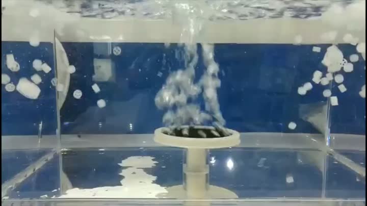 Грубый пузырь диффузор2