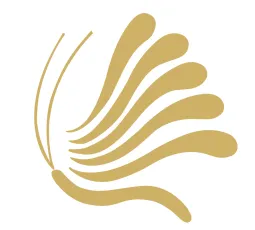 Yiwu Zhencheng Import and Export Co., LTD