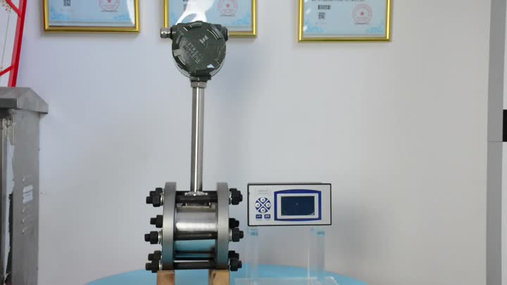 DN65 vortex flowmeter