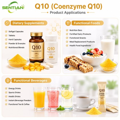 Coenzyme Q10 Supplements Become a Fast-Growing Trend in the Global Wellness Market in 2026