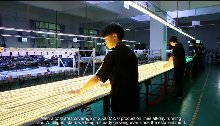 Dongguan Wilgex Lighting Co., Ltd.