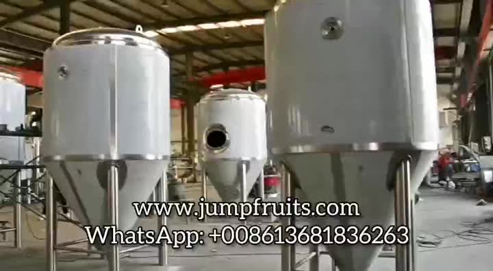 Turnkey Complete Beer Production Line