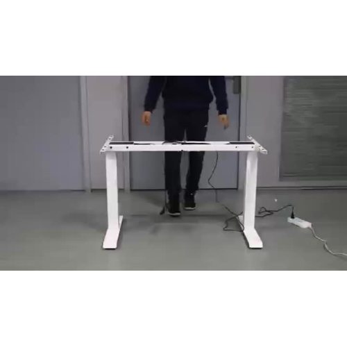 dual motor standing desk