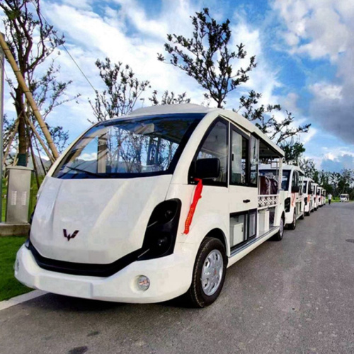 What issues should be paid attention to when buying Golf Cart?