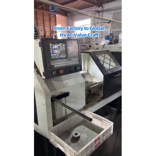 1a5589b3929187c0ed0289dbd880337b