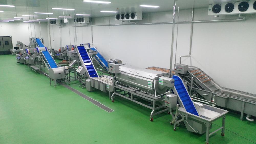 Potato Processing Line