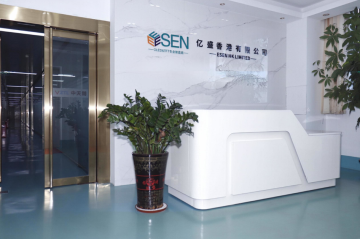 ESEN HK LIMITED