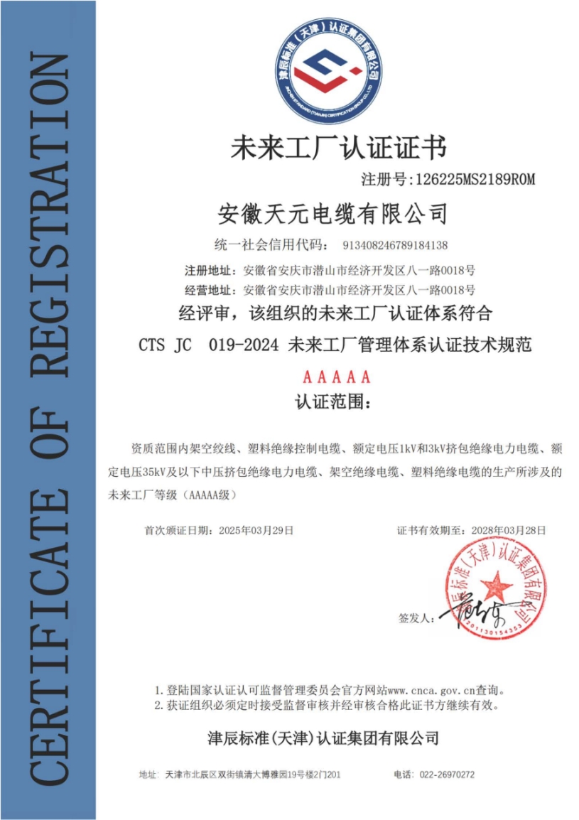 Future Factory Certification Certificate
