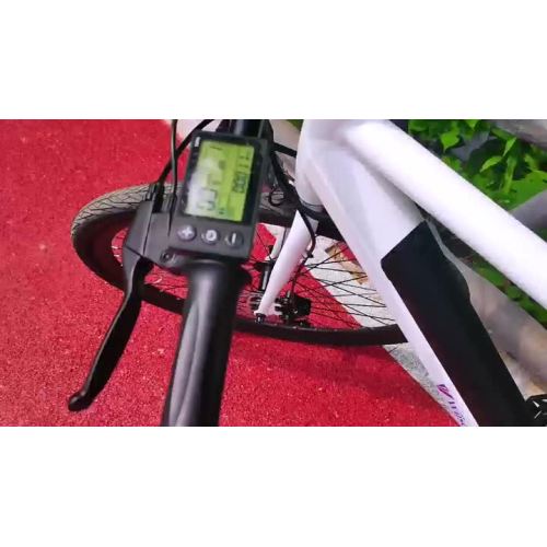 T2 Electric bicycle
