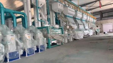 100T Complete Auto Artificial Rice Mill Production Line1