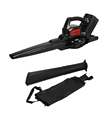 45L Bag 3-in-1 280km/h Cordless Lithium Blower 60V1