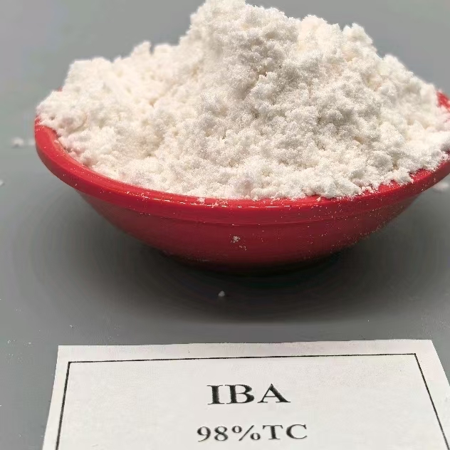 ออกซินอินโดล-3-บิวทีริกกรด IBA 98% CAS 133-32-4