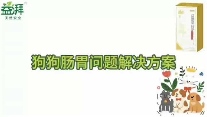 Perro de apoyo gastrointestinal para mascotas