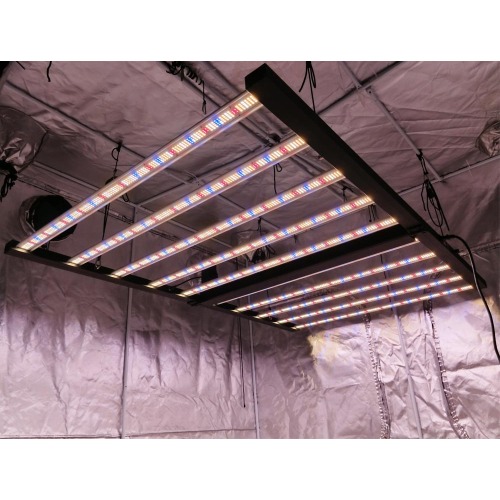 Ο καλύτερος πωλητής 1,7m / 67inch LED Grow Light 1000W προς πώληση