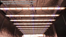 1000W Grow Light 1,8M