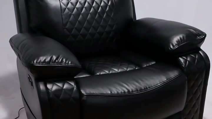 Single Leather Sofa 