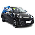2023 BYD Seagull: Quality Electric Car for Adults at Factory Price1