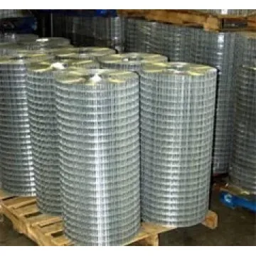 China Top 10 Hot Dipped Welded Wire Mesh Potential Enterprises