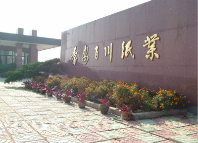 TAIAN BAICHUAN PAPER CO,. LTD.