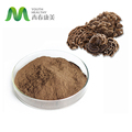 Gomba por trametes coriolus versicolor pulyka farok kivonatot ömlesztve1