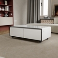 Smart Furniture Coffee Table with 135L Refrigerator Drawer R600A1