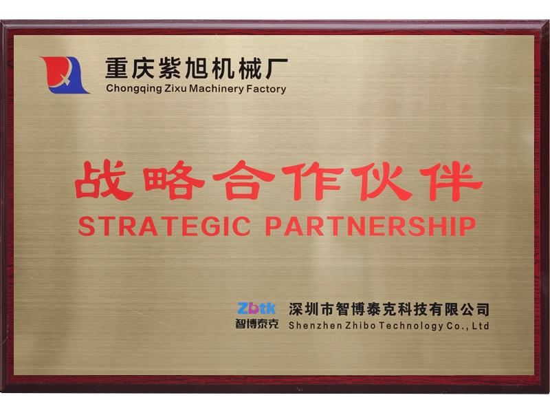 Strategic Partner of Zixu Zhibo