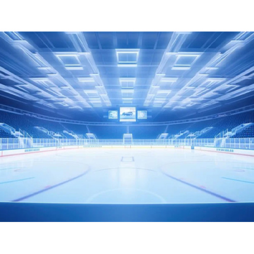 2026 Küresel Buz Pateni Pisti Paneli Sektöründe Patlama: Güvenlik Yükseltmesi, Akıllı Entegrasyon ve Spor Endüstrisi Büyümesi Gelişimi Artırıyor