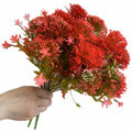 Plastic Red Chrysanthemum Ball - Faux Dandelion for Wedding and Home Decor1