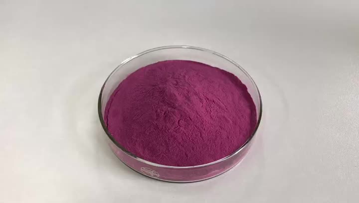 Blueberry Juice Powder