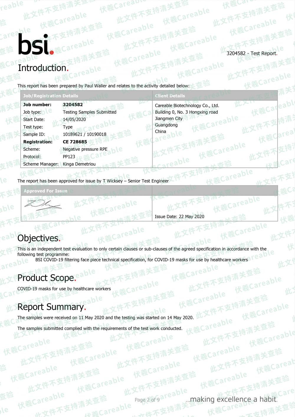 BSI-FFP2 Report