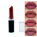 OEM Custom Private Label Long Lasting Plastic Tube Matte Lipstick Set1