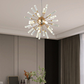 Modern Indoor Dandelion Led Chandelier Lamp for Coffee Shop and Living Room1