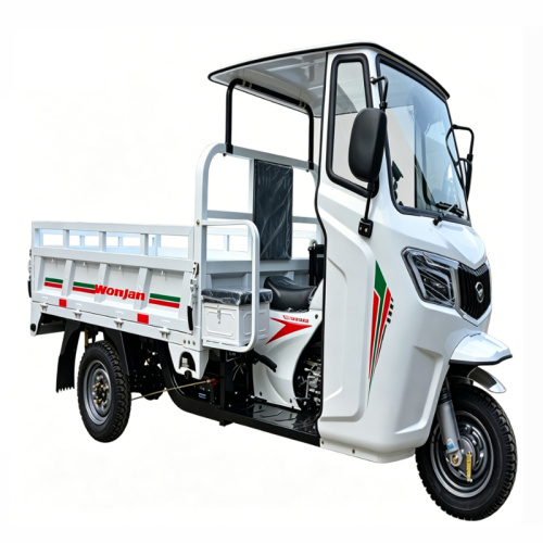 Penggunaan dan penyelenggaraan bateri Tricycles Gas