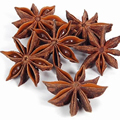 Wholesale High-Quality Dried Star Anise: Your Source for Premium Spices1