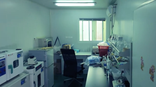 Shanghai Healpoint Industrial Development Advances Global Minimally Invasive Surgery with High-Performance Surgical Consumables and Custom Medical Solutions